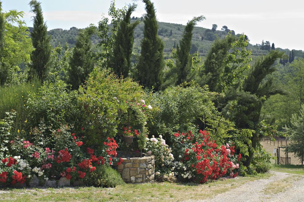 La Buca Di Montauto San Gimignano Ngoại thất bức ảnh