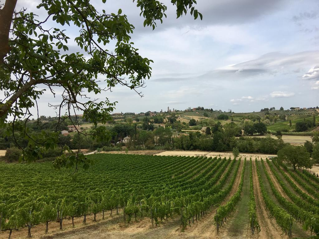La Buca Di Montauto San Gimignano Ngoại thất bức ảnh